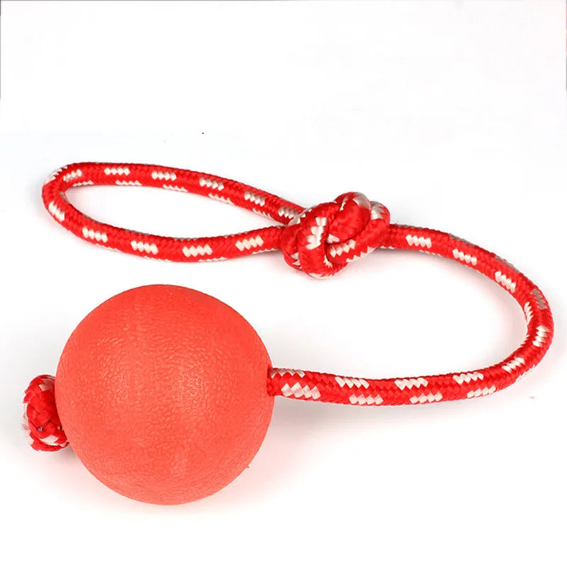 Bola mastigável para cães